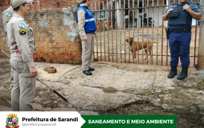 Fiscais da Secretaria de Meio Ambiente, Corpo de Bombeiros e Guarda Civil Municipal resgatam cachorros que sofriam maus tratos
